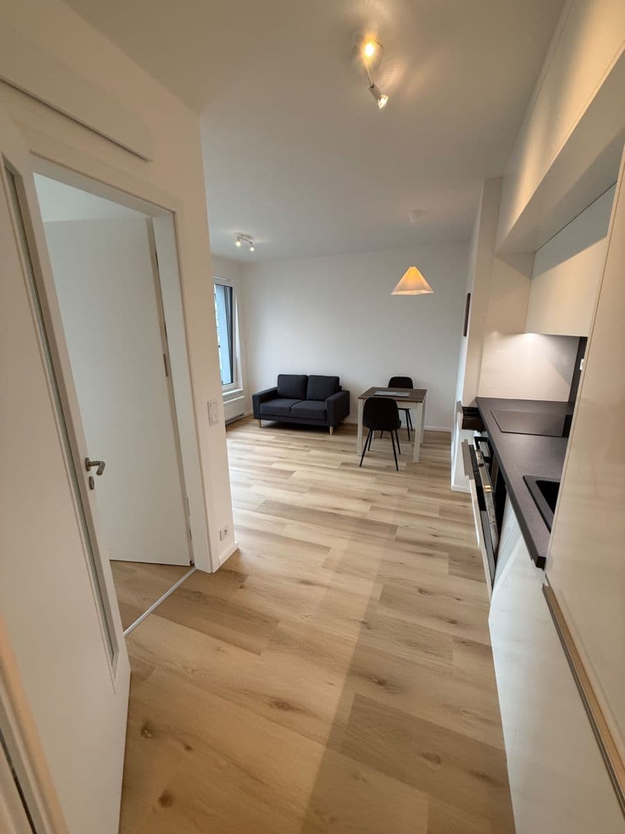 1 bedroom with open-plan kitchen flat to rent, 47 m², Hodkovická, Prague, Prague 1 bedroom with open-plan kitchen flat to rent, 47 m², Hodkovická, Prague, Prague