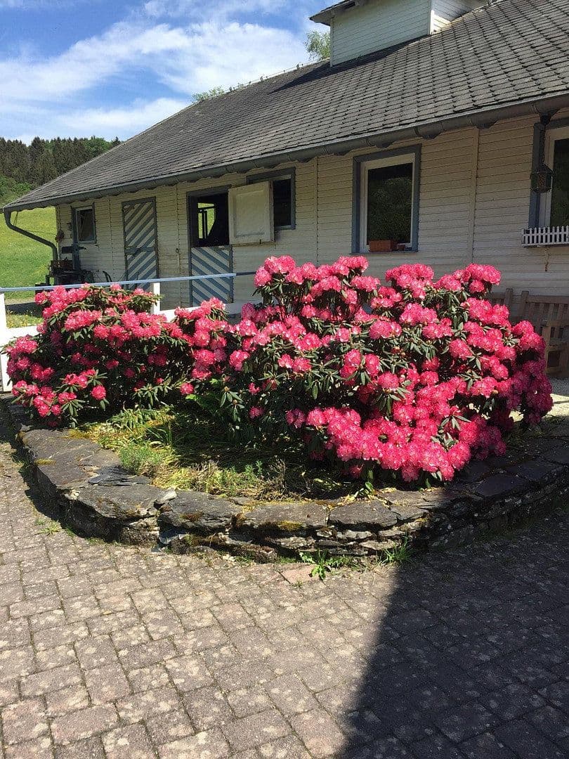 house for sale, 180 m², Geisfeld, Rhineland-Palatinate house for sale, 180 m², Geisfeld, Rhineland-Palatinate