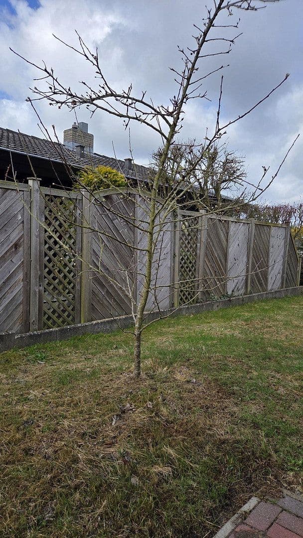 house for sale, 100 m², Buxtehude, Lower Saxony house for sale, 100 m², Buxtehude, Lower Saxony
