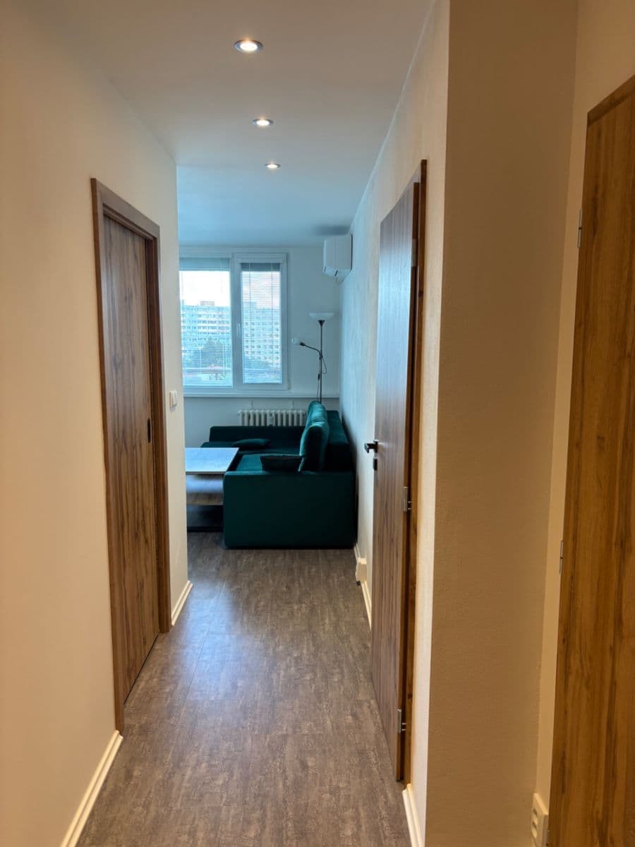 1 bedroom with open-plan kitchen flat to rent, 46 m², Neustupného, Prague, Prague 1 bedroom with open-plan kitchen flat to rent, 46 m², Neustupného, Prague, Prague