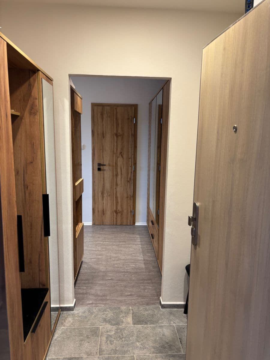 1 bedroom with open-plan kitchen flat to rent, 46 m², Neustupného, Prague, Prague 1 bedroom with open-plan kitchen flat to rent, 46 m², Neustupného, Prague, Prague