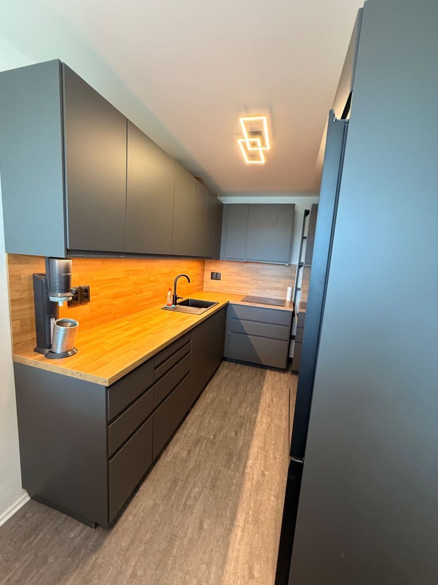 1 bedroom with open-plan kitchen flat to rent, 46 m², Neustupného, Prague, Prague 1 bedroom with open-plan kitchen flat to rent, 46 m², Neustupného, Prague, Prague