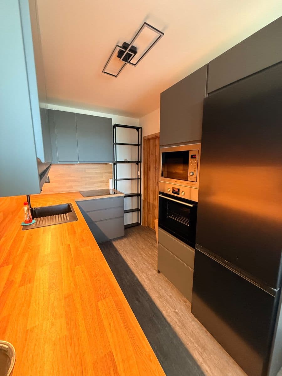 1 bedroom with open-plan kitchen flat to rent, 46 m², Neustupného, Prague, Prague 1 bedroom with open-plan kitchen flat to rent, 46 m², Neustupného, Prague, Prague