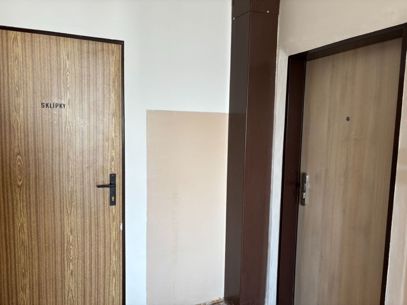 1 bedroom with open-plan kitchen flat to rent, 46 m², Neustupného, Prague, Prague 1 bedroom with open-plan kitchen flat to rent, 46 m², Neustupného, Prague, Prague