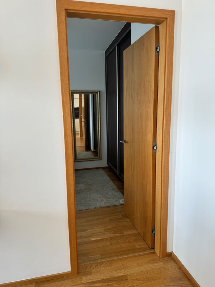1 bedroom with open-plan kitchen flat to rent, 60 m², Sanderova, Prague, Prague 1 bedroom with open-plan kitchen flat to rent, 60 m², Sanderova, Prague, Prague