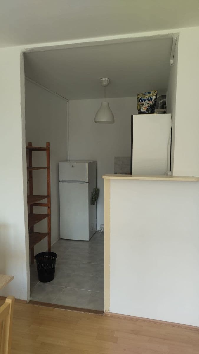 1 bedroom with open-plan kitchen flat to rent, 47 m², Hrubého, Prague, Prague 1 bedroom with open-plan kitchen flat to rent, 47 m², Hrubého, Prague, Prague