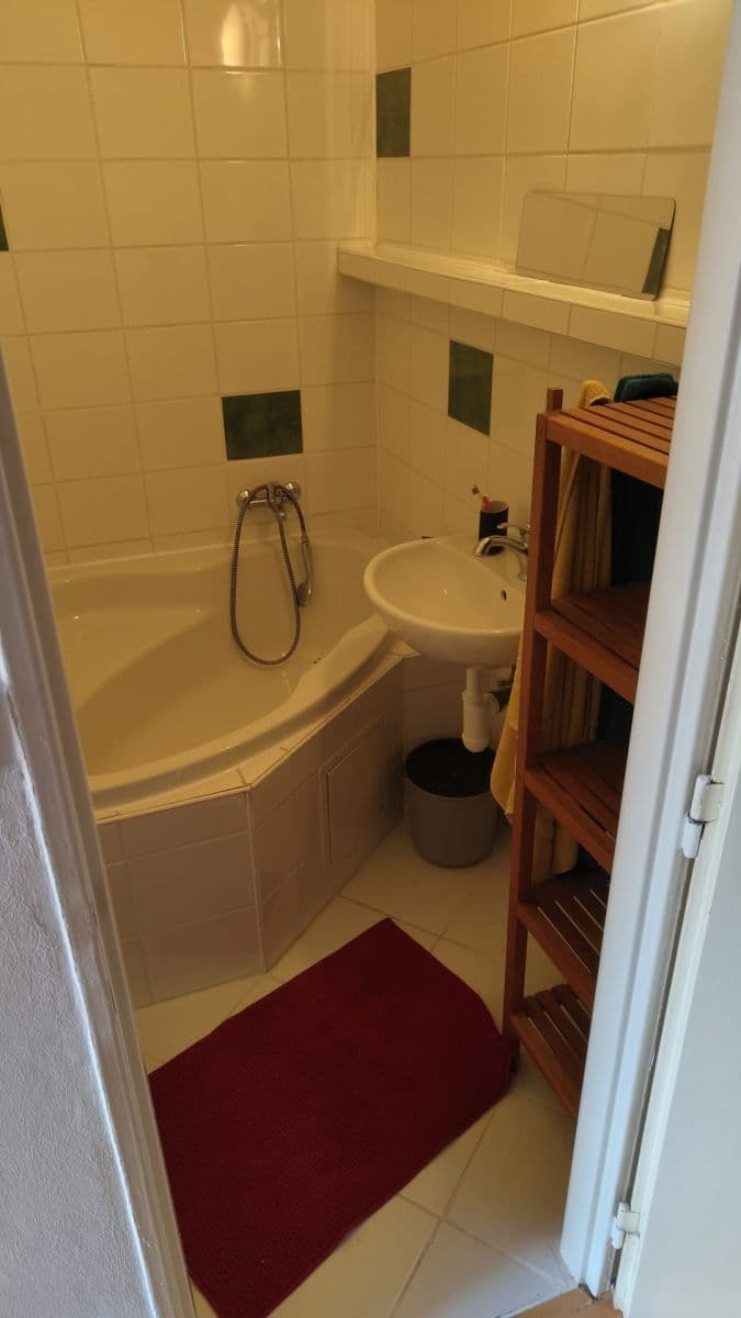 1 bedroom with open-plan kitchen flat to rent, 47 m², Hrubého, Prague, Prague 1 bedroom with open-plan kitchen flat to rent, 47 m², Hrubého, Prague, Prague