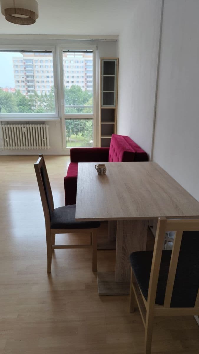 1 bedroom with open-plan kitchen flat to rent, 47 m², Hrubého, Prague, Prague 1 bedroom with open-plan kitchen flat to rent, 47 m², Hrubého, Prague, Prague