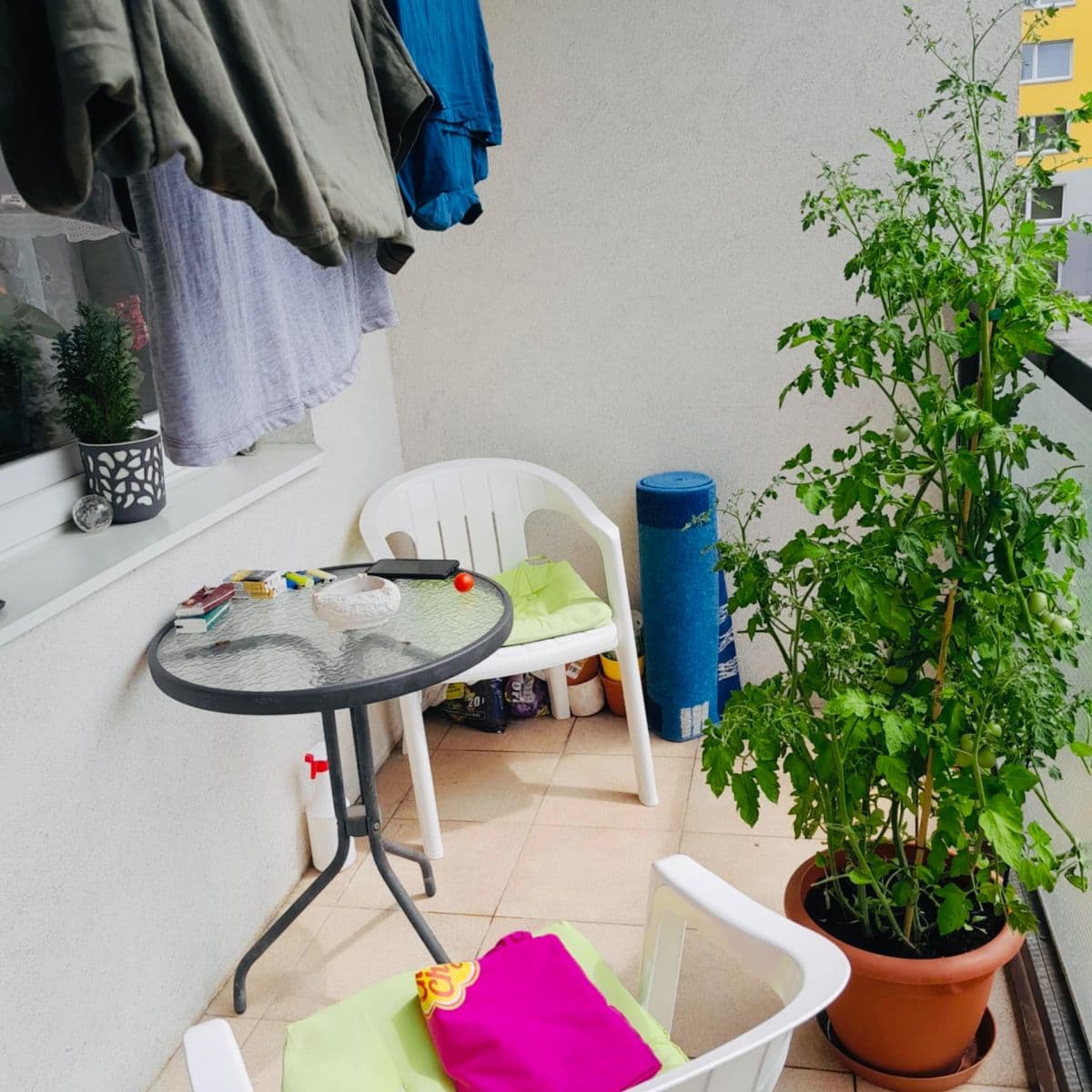 1 bedroom with open-plan kitchen flat to rent, 45 m², Hekrova, Prague, Prague 1 bedroom with open-plan kitchen flat to rent, 45 m², Hekrova, Prague, Prague