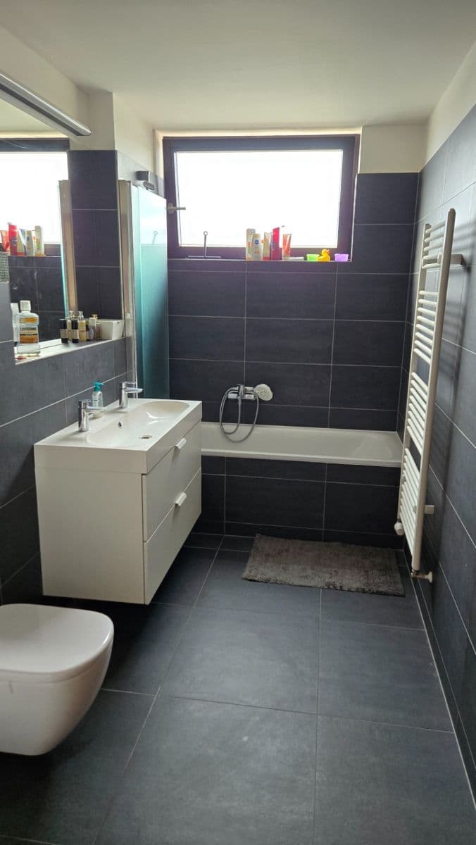 2 bedroom with open-plan kitchen flat to rent, 99 m², K Beranovu, Prague, Prague 2 bedroom with open-plan kitchen flat to rent, 99 m², K Beranovu, Prague, Prague