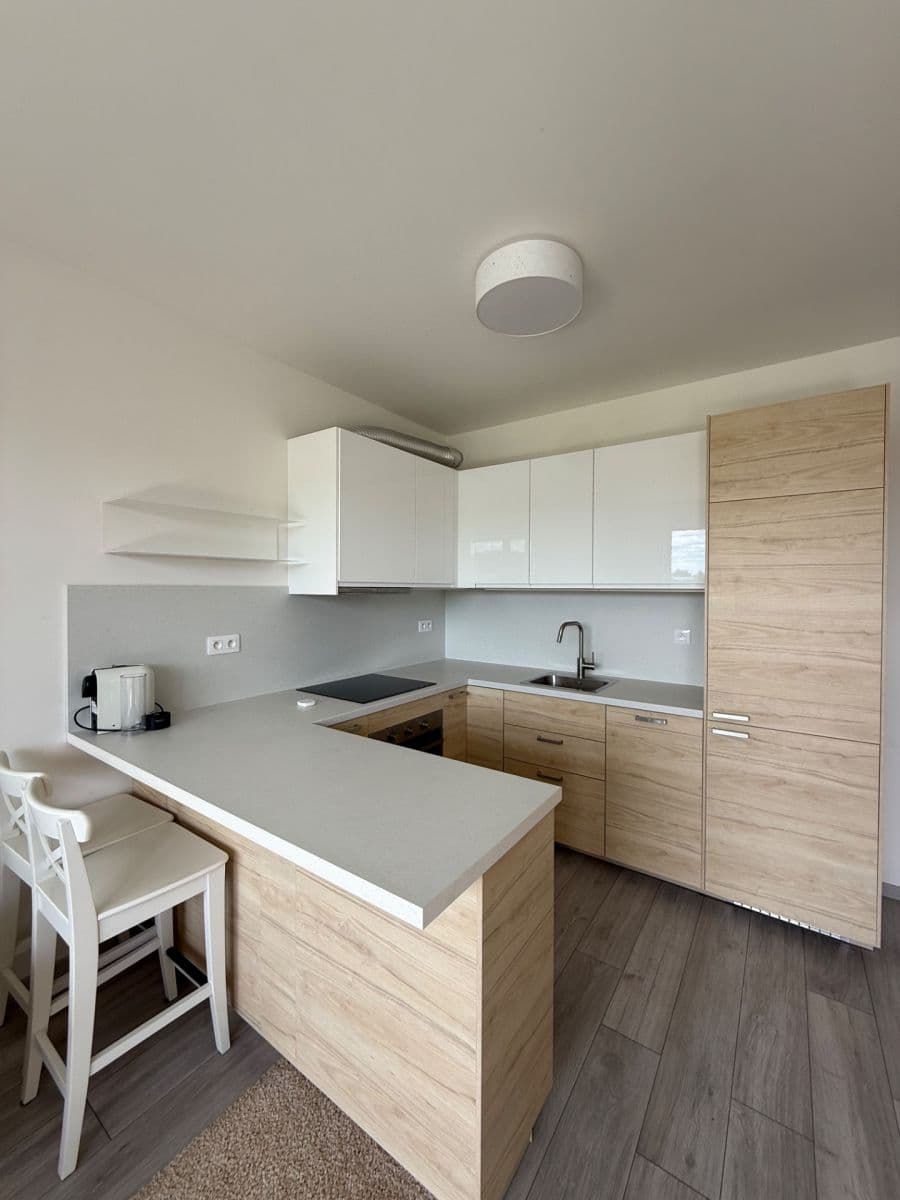 1 bedroom with open-plan kitchen flat to rent, 50 m², Zlochova, Prague, Prague 1 bedroom with open-plan kitchen flat to rent, 50 m², Zlochova, Prague, Prague