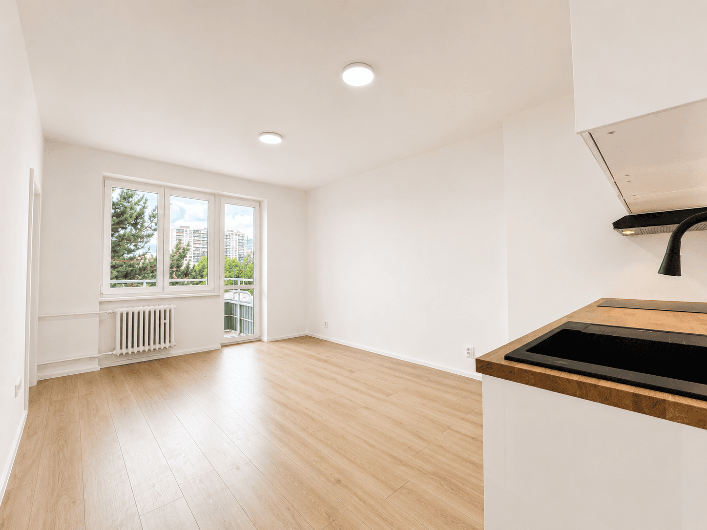 1 bedroom with open-plan kitchen flat for sale, 44 m², U Slavie, Prague, Prague 1 bedroom with open-plan kitchen flat for sale, 44 m², U Slavie, Prague, Prague