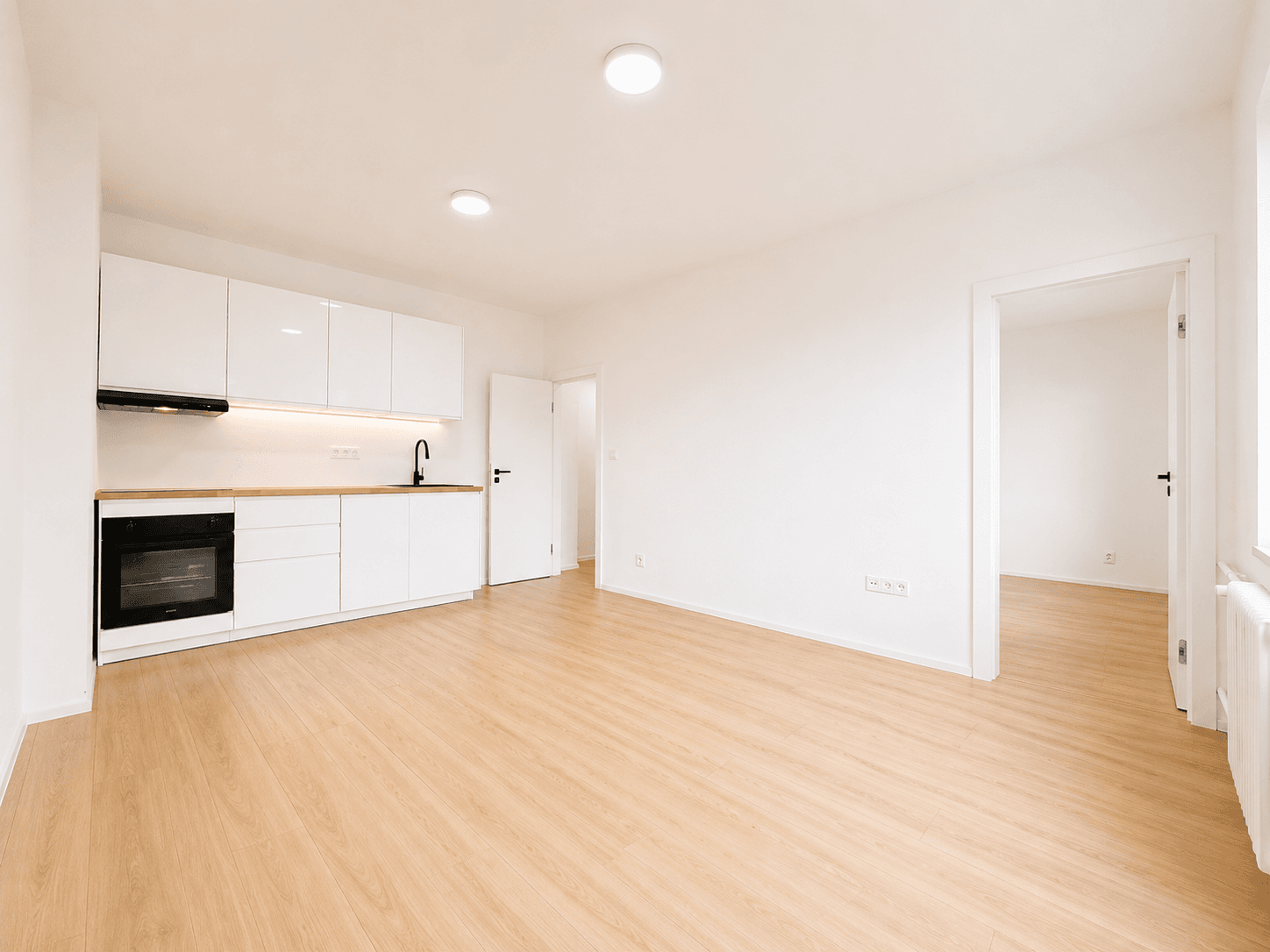 1 bedroom with open-plan kitchen flat for sale, 44 m², U Slavie, Prague, Prague 1 bedroom with open-plan kitchen flat for sale, 44 m², U Slavie, Prague, Prague