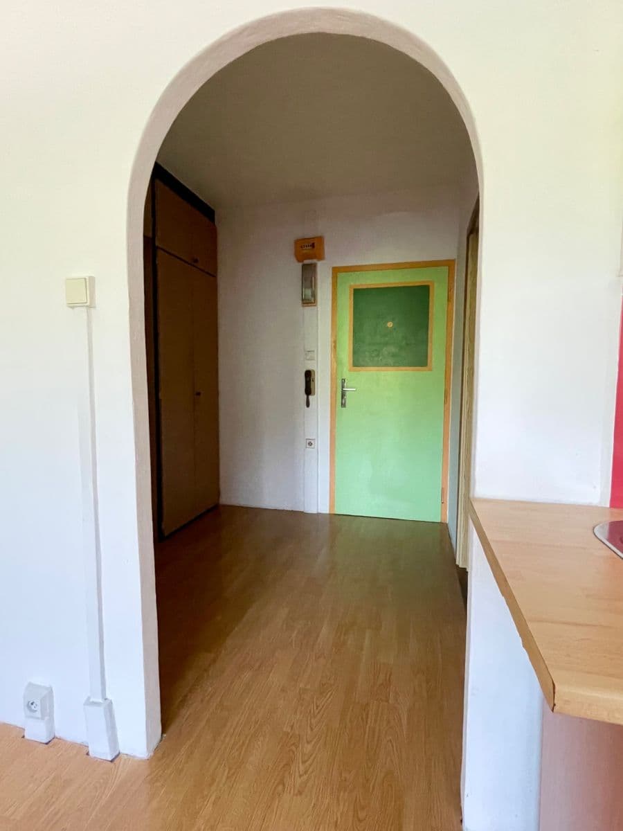 1 bedroom with open-plan kitchen flat for sale, 44 m², Bryksova, Prague, Prague 1 bedroom with open-plan kitchen flat for sale, 44 m², Bryksova, Prague, Prague
