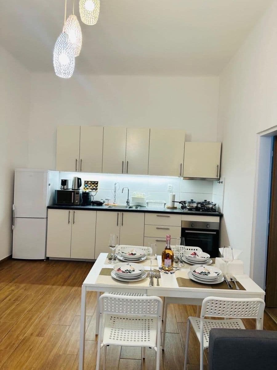 1 bedroom with open-plan kitchen flat to rent, 45 m², Sokolovská, Prague, Prague 1 bedroom with open-plan kitchen flat to rent, 45 m², Sokolovská, Prague, Prague