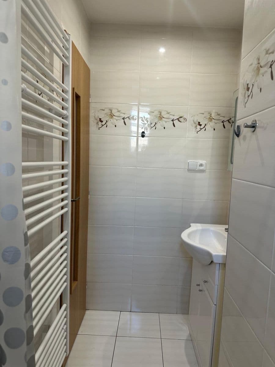 1 bedroom with open-plan kitchen flat to rent, 45 m², Sokolovská, Prague, Prague 1 bedroom with open-plan kitchen flat to rent, 45 m², Sokolovská, Prague, Prague