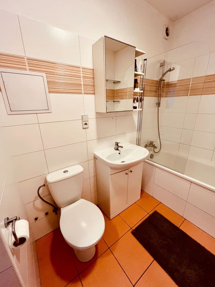 1 bedroom with open-plan kitchen flat to rent, 46 m², Vomáčkova, Brno, Jihomoravský Region 1 bedroom with open-plan kitchen flat to rent, 46 m², Vomáčkova, Brno, Jihomoravský Region