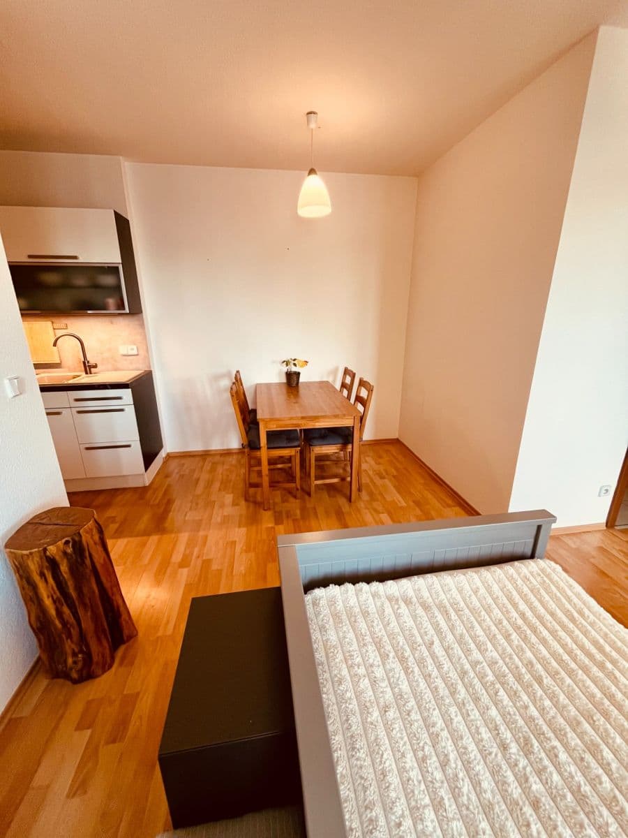1 bedroom with open-plan kitchen flat to rent, 46 m², Vomáčkova, Brno, Jihomoravský Region 1 bedroom with open-plan kitchen flat to rent, 46 m², Vomáčkova, Brno, Jihomoravský Region