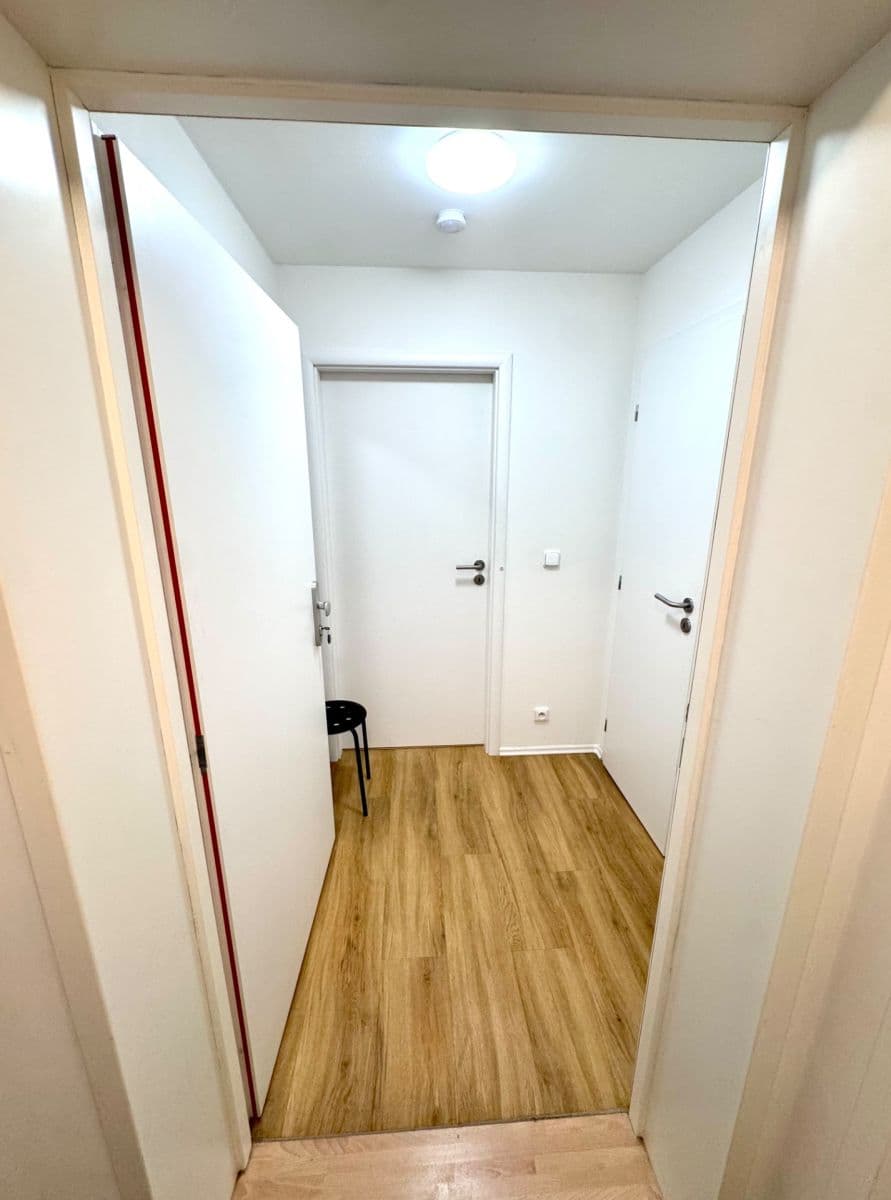 1 bedroom with open-plan kitchen flat to rent, 67 m², Kollárova, Prague, Prague 1 bedroom with open-plan kitchen flat to rent, 67 m², Kollárova, Prague, Prague