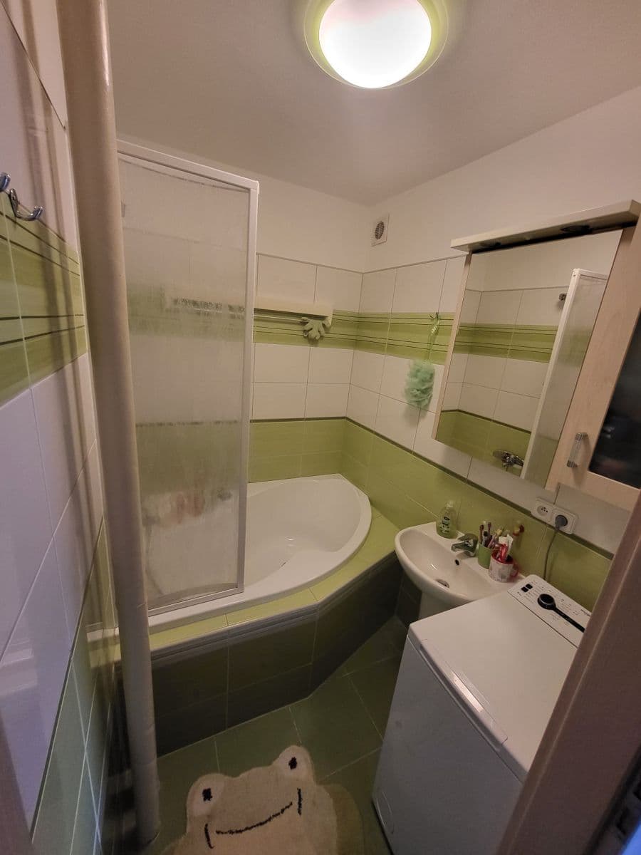 2 bedroom with open-plan kitchen flat to rent, 74 m², Waltrova, Plzeň, Plzeňský Region 2 bedroom with open-plan kitchen flat to rent, 74 m², Waltrova, Plzeň, Plzeňský Region