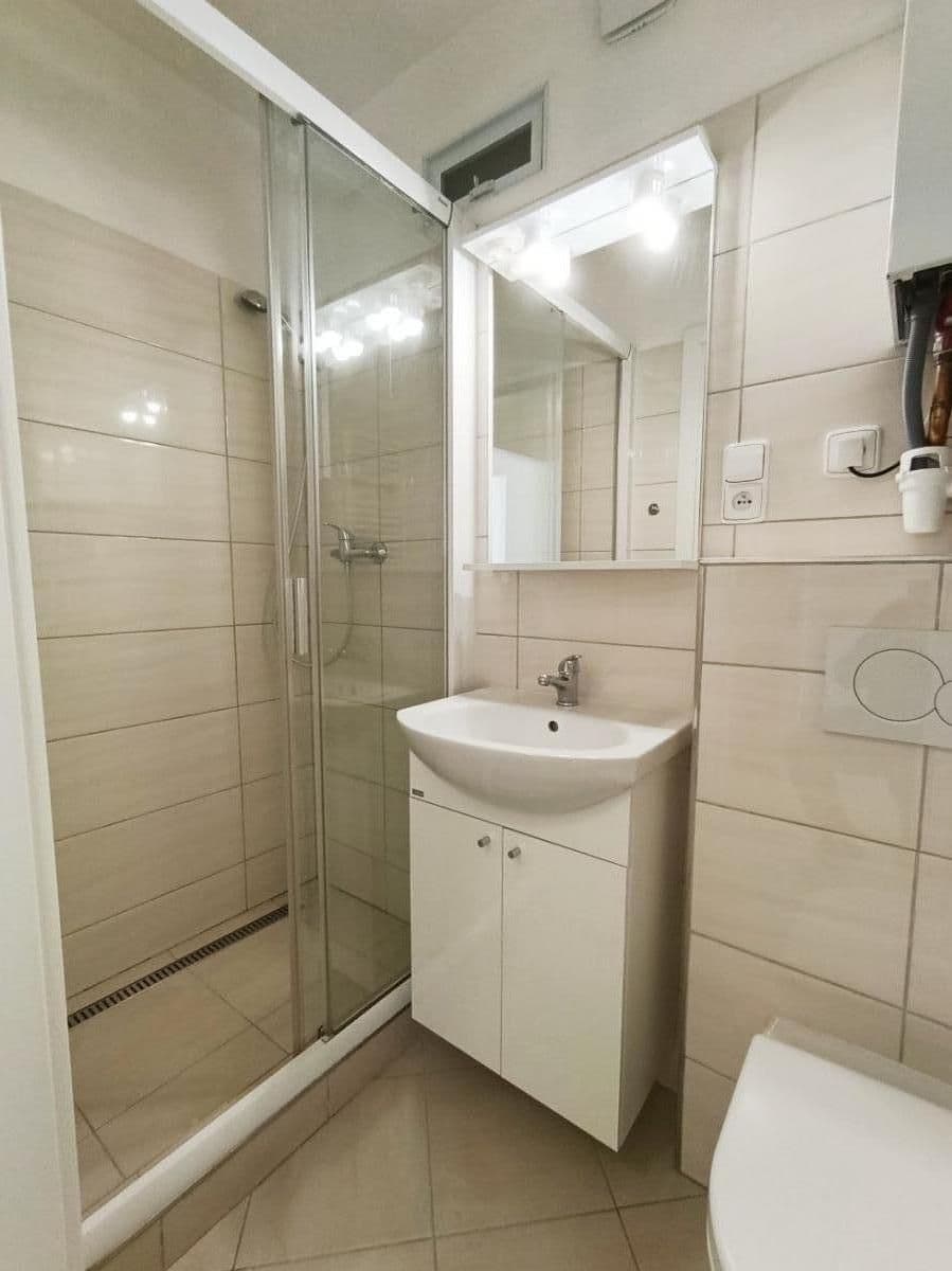 1 bedroom with open-plan kitchen flat to rent, 38 m², Žerotínova, Prague, Prague 1 bedroom with open-plan kitchen flat to rent, 38 m², Žerotínova, Prague, Prague