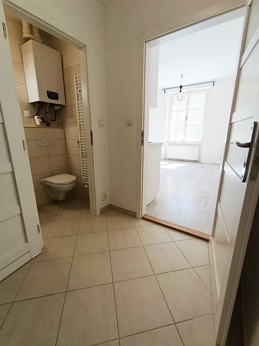 1 bedroom with open-plan kitchen flat to rent, 38 m², Žerotínova, Prague, Prague 1 bedroom with open-plan kitchen flat to rent, 38 m², Žerotínova, Prague, Prague
