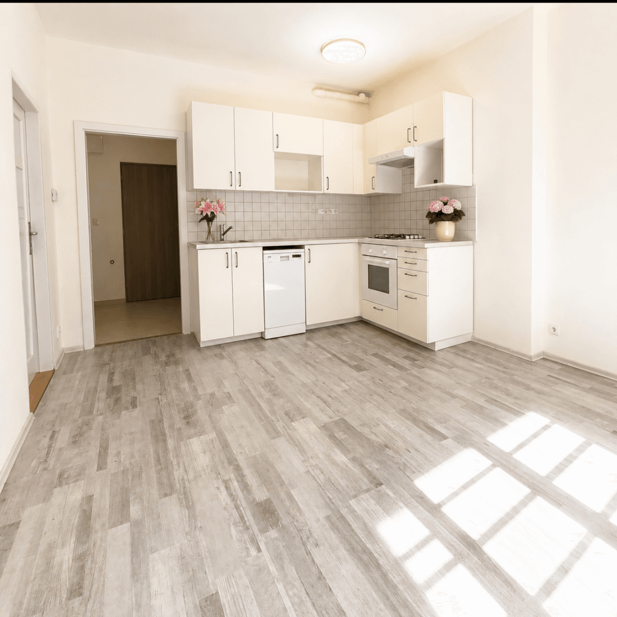 1 bedroom with open-plan kitchen flat to rent, 38 m², Žerotínova, Prague, Prague 1 bedroom with open-plan kitchen flat to rent, 38 m², Žerotínova, Prague, Prague