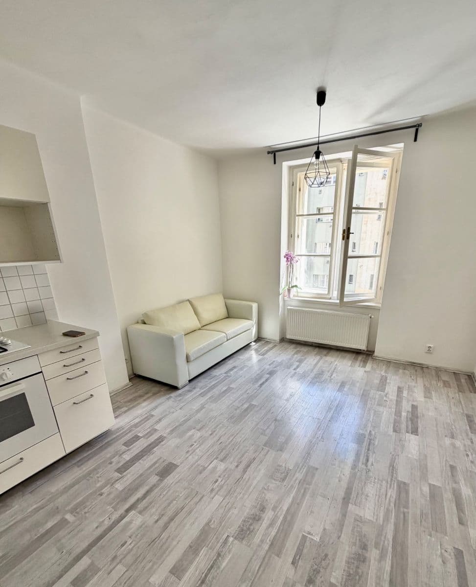 1 bedroom with open-plan kitchen flat to rent, 38 m², Žerotínova, Prague, Prague 1 bedroom with open-plan kitchen flat to rent, 38 m², Žerotínova, Prague, Prague