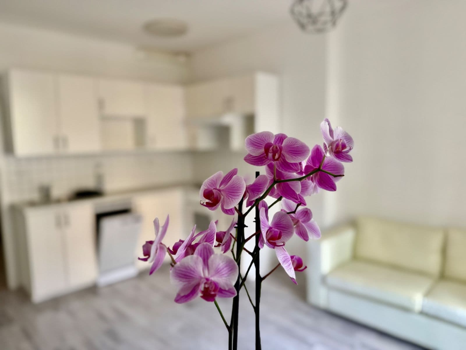 1 bedroom with open-plan kitchen flat to rent, 38 m², Žerotínova, Prague, Prague 1 bedroom with open-plan kitchen flat to rent, 38 m², Žerotínova, Prague, Prague