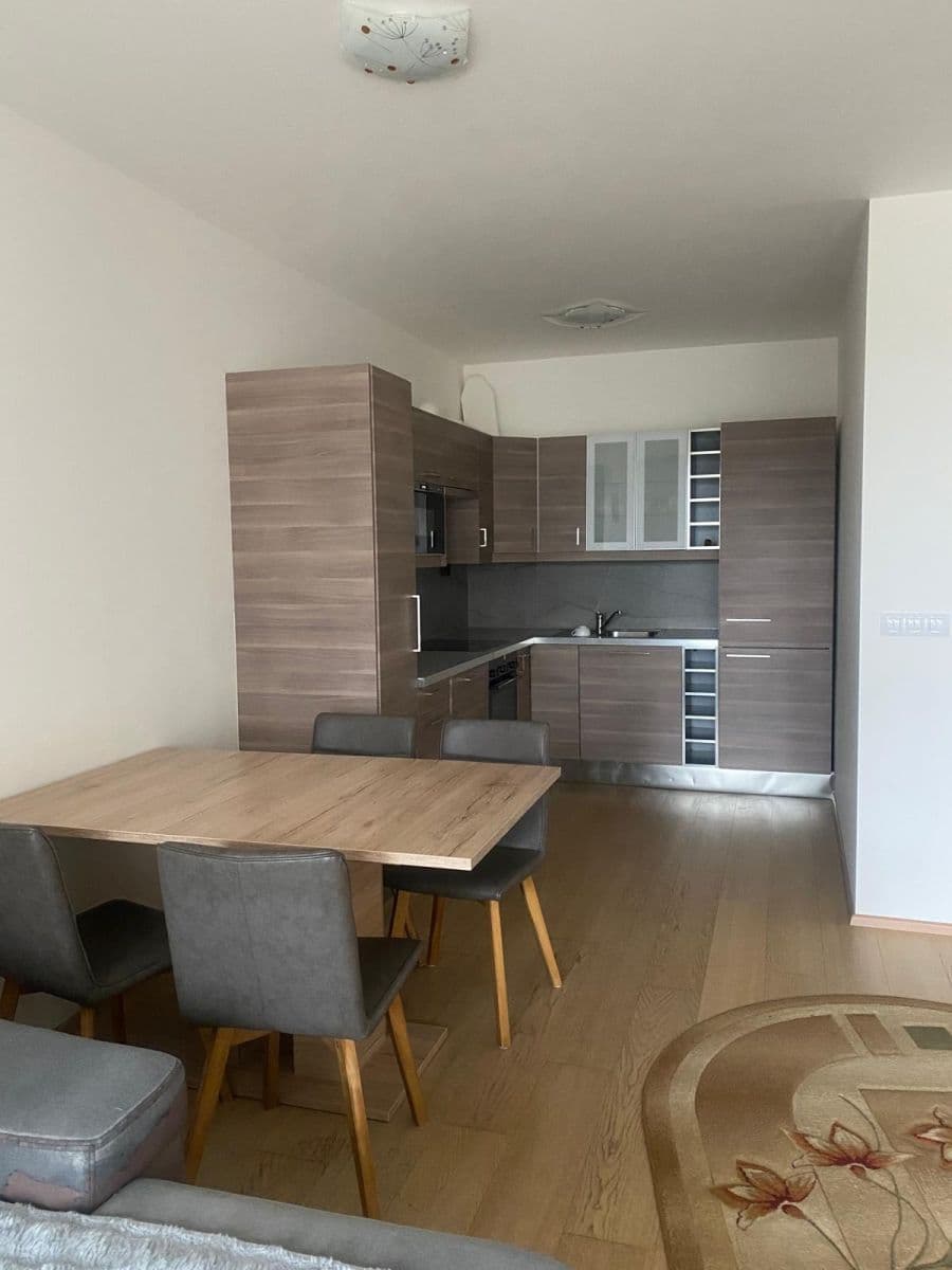 1 bedroom with open-plan kitchen flat to rent, 54 m², Devonská, Prague, Prague 1 bedroom with open-plan kitchen flat to rent, 54 m², Devonská, Prague, Prague