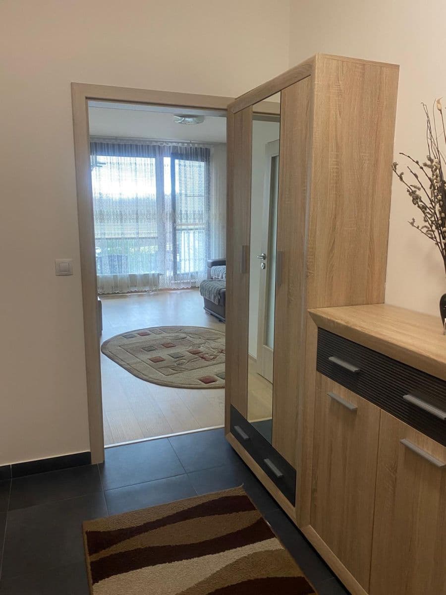 1 bedroom with open-plan kitchen flat to rent, 54 m², Devonská, Prague, Prague 1 bedroom with open-plan kitchen flat to rent, 54 m², Devonská, Prague, Prague