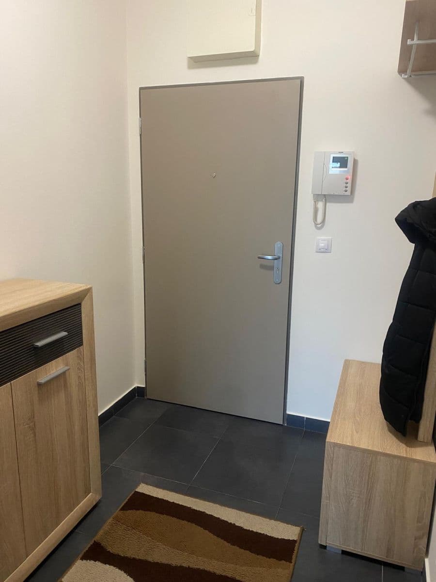 1 bedroom with open-plan kitchen flat to rent, 54 m², Devonská, Prague, Prague 1 bedroom with open-plan kitchen flat to rent, 54 m², Devonská, Prague, Prague