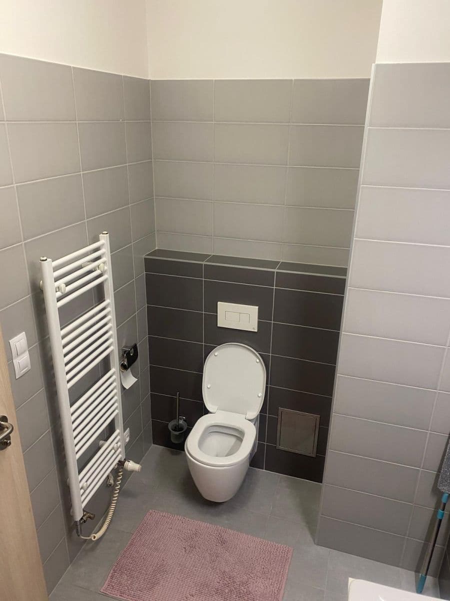 1 bedroom with open-plan kitchen flat to rent, 54 m², Devonská, Prague, Prague 1 bedroom with open-plan kitchen flat to rent, 54 m², Devonská, Prague, Prague