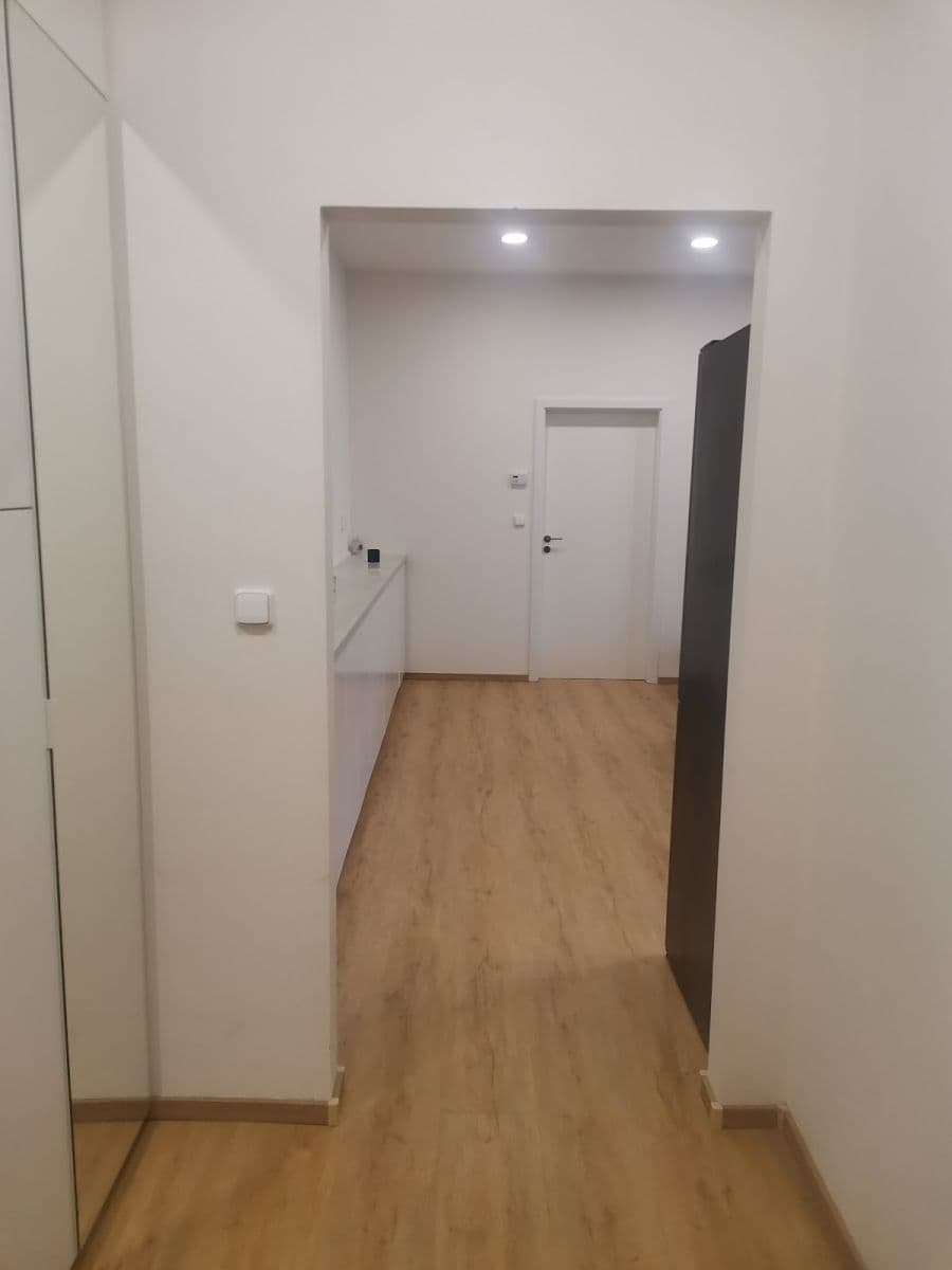 1 bedroom with open-plan kitchen flat to rent, 48 m², Dělnická, Prague, Prague 1 bedroom with open-plan kitchen flat to rent, 48 m², Dělnická, Prague, Prague