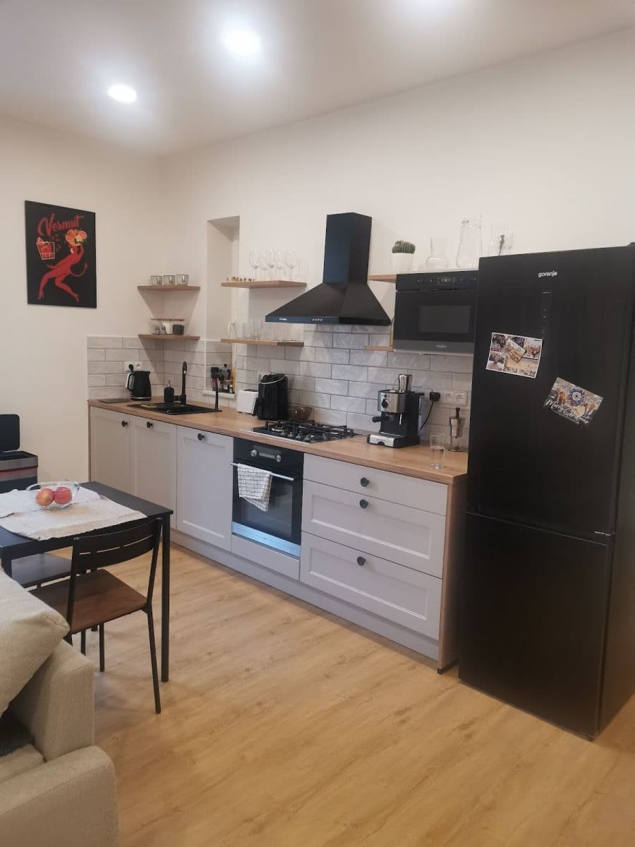 1 bedroom with open-plan kitchen flat to rent, 48 m², Dělnická, Prague, Prague 1 bedroom with open-plan kitchen flat to rent, 48 m², Dělnická, Prague, Prague