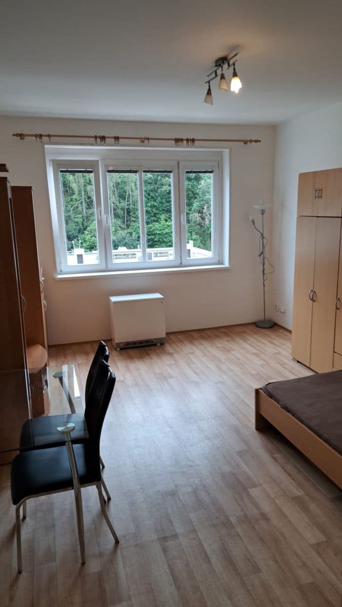 Studio flat to rent, 30 m², Vrchlického, Prague, Prague Studio flat to rent, 30 m², Vrchlického, Prague, Prague