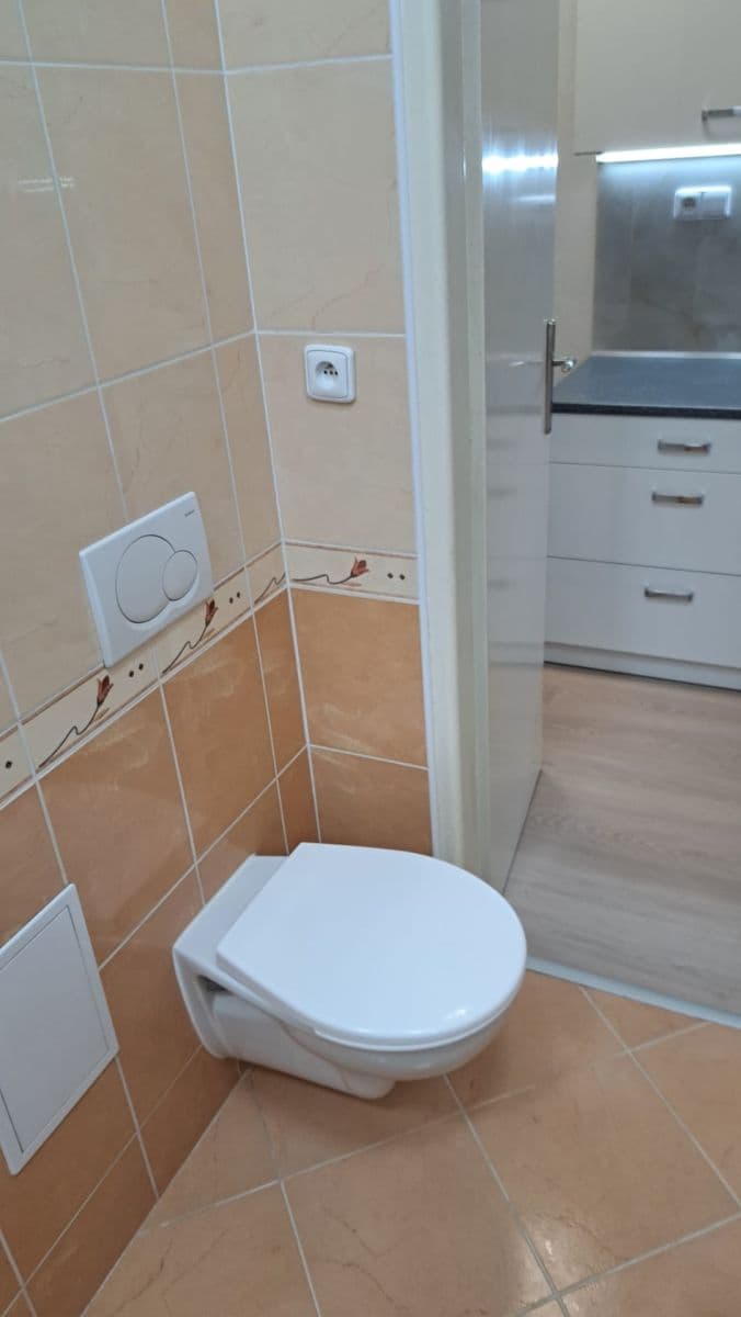 Studio flat to rent, 30 m², Vrchlického, Prague, Prague Studio flat to rent, 30 m², Vrchlického, Prague, Prague