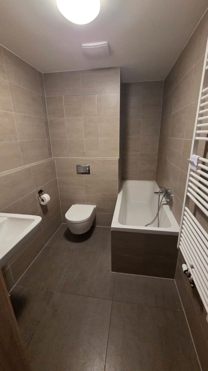 1 bedroom with open-plan kitchen flat to rent, 47 m², Oty Bubeníčka, Prague, Prague 1 bedroom with open-plan kitchen flat to rent, 47 m², Oty Bubeníčka, Prague, Prague