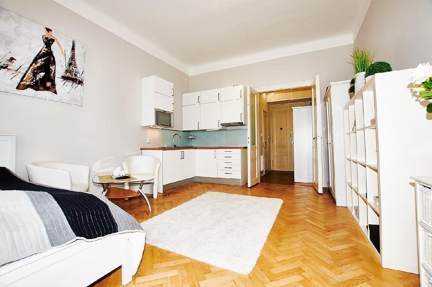 Studio flat to rent, 30 m², Kubelíkova, Prague, Prague Studio flat to rent, 30 m², Kubelíkova, Prague, Prague