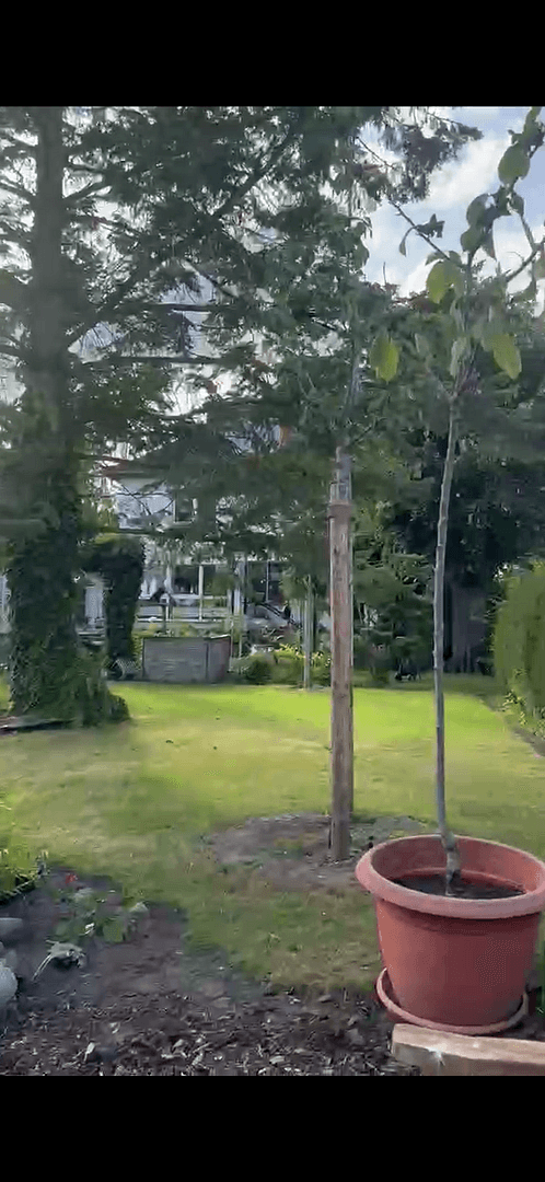 house to rent, 190 m², Berlin, Berlin house to rent, 190 m², Berlin, Berlin