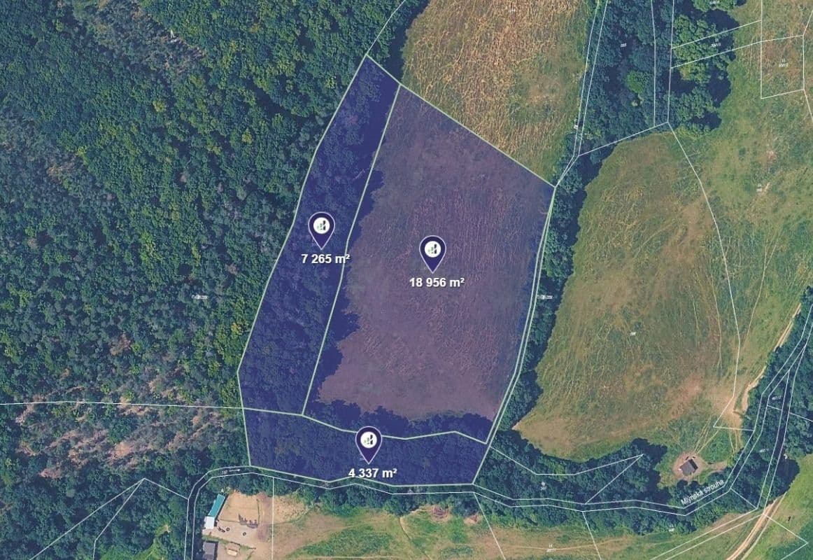 plot for sale, 30,558 m², Bojanovice, Středočeský Region plot for sale, 30,558 m², Bojanovice, Středočeský Region