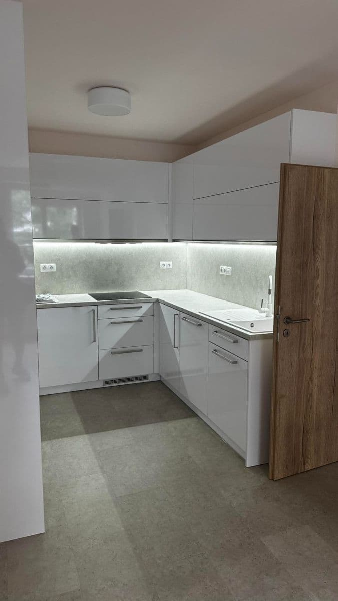 1 bedroom with open-plan kitchen flat to rent, 53 m², Křižíkova, Prague, Prague 1 bedroom with open-plan kitchen flat to rent, 53 m², Křižíkova, Prague, Prague