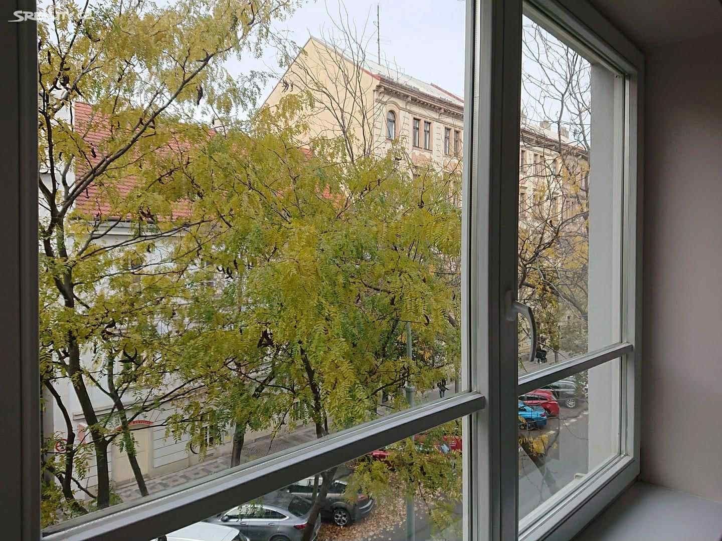 1 bedroom with open-plan kitchen flat to rent, 53 m², Křižíkova, Prague, Prague 1 bedroom with open-plan kitchen flat to rent, 53 m², Křižíkova, Prague, Prague
