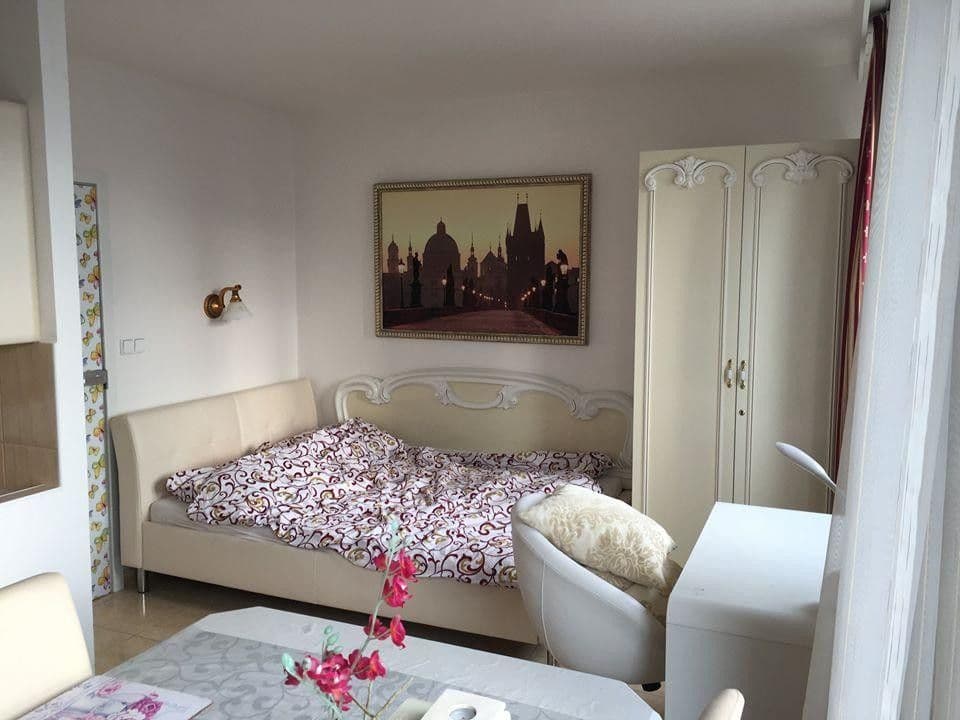 Small studio flat to rent, 40 m², Plamínkové, Prague, Prague Small studio flat to rent, 40 m², Plamínkové, Prague, Prague