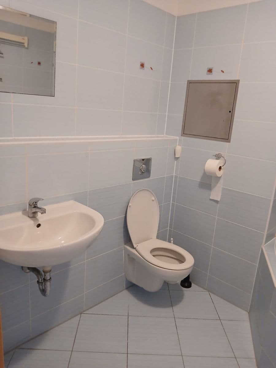 1 bedroom with open-plan kitchen flat to rent, 51 m², Holubinková, Prague, Prague 1 bedroom with open-plan kitchen flat to rent, 51 m², Holubinková, Prague, Prague
