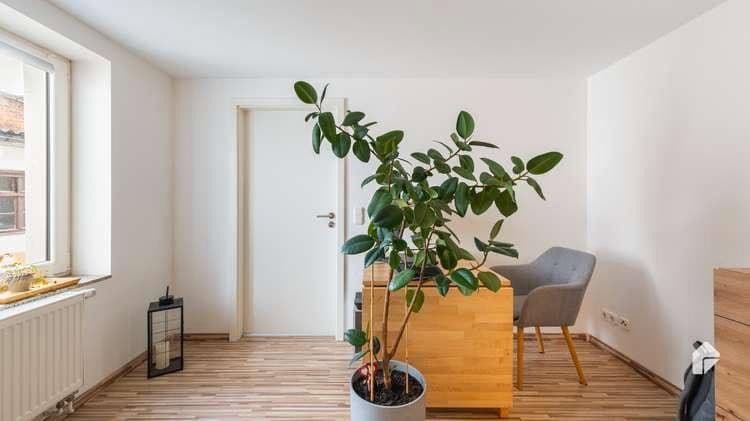 4 bedroom flat to rent, 127 m², Bad Belzig, Brandenburg 4 bedroom flat to rent, 127 m², Bad Belzig, Brandenburg