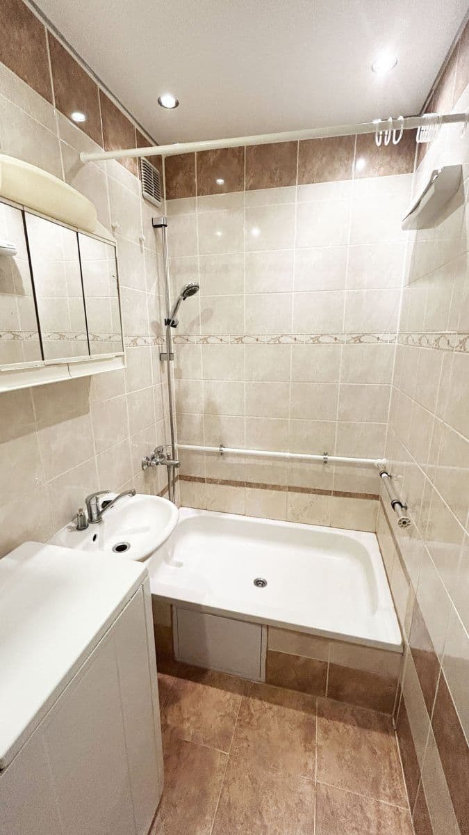 1 bedroom with open-plan kitchen flat to rent, 44 m², Horákova, Prague, Prague 1 bedroom with open-plan kitchen flat to rent, 44 m², Horákova, Prague, Prague