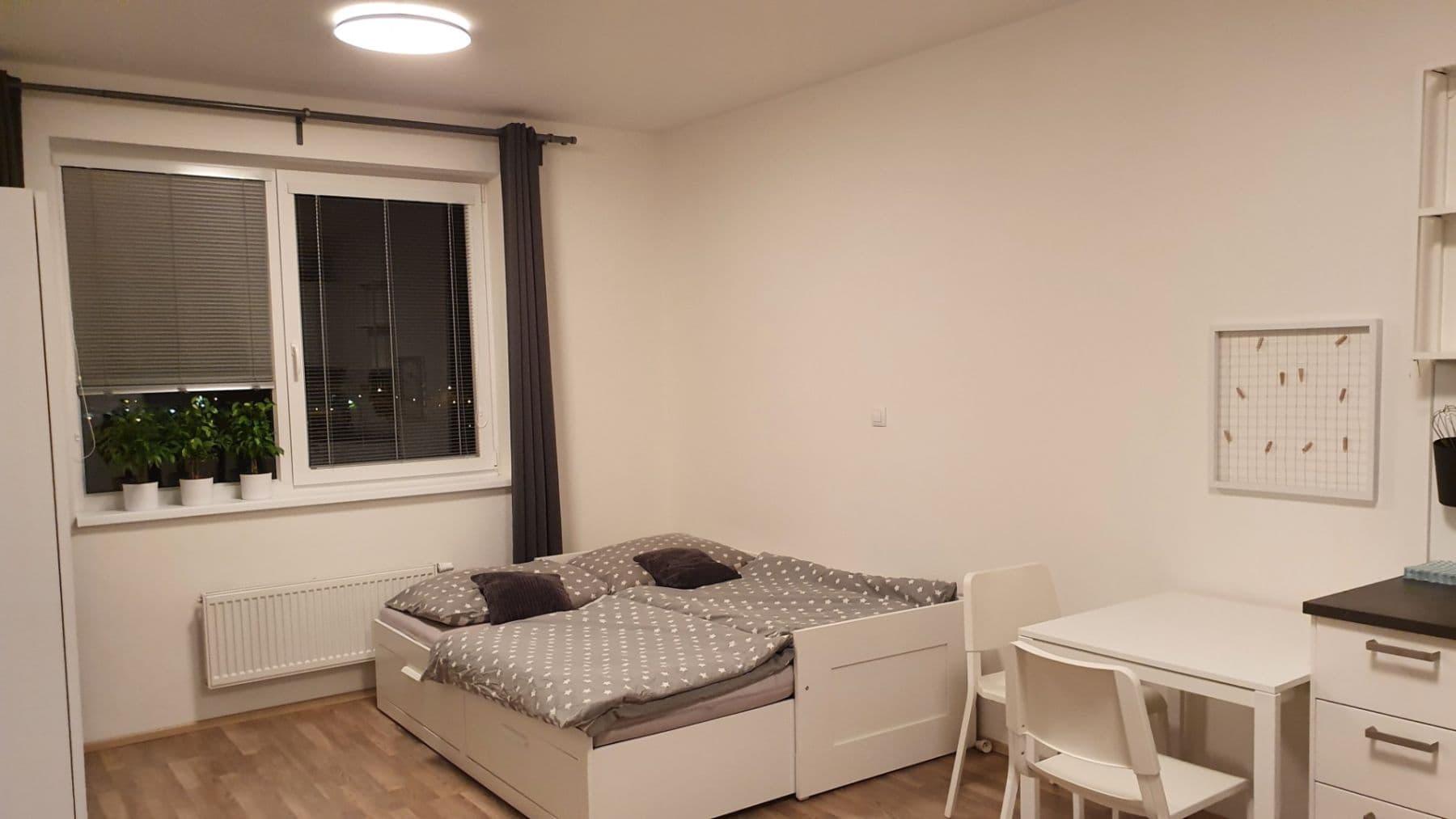 Studio flat to rent, 30 m², Magisterská, Plzeň, Plzeňský Region Studio flat to rent, 30 m², Magisterská, Plzeň, Plzeňský Region