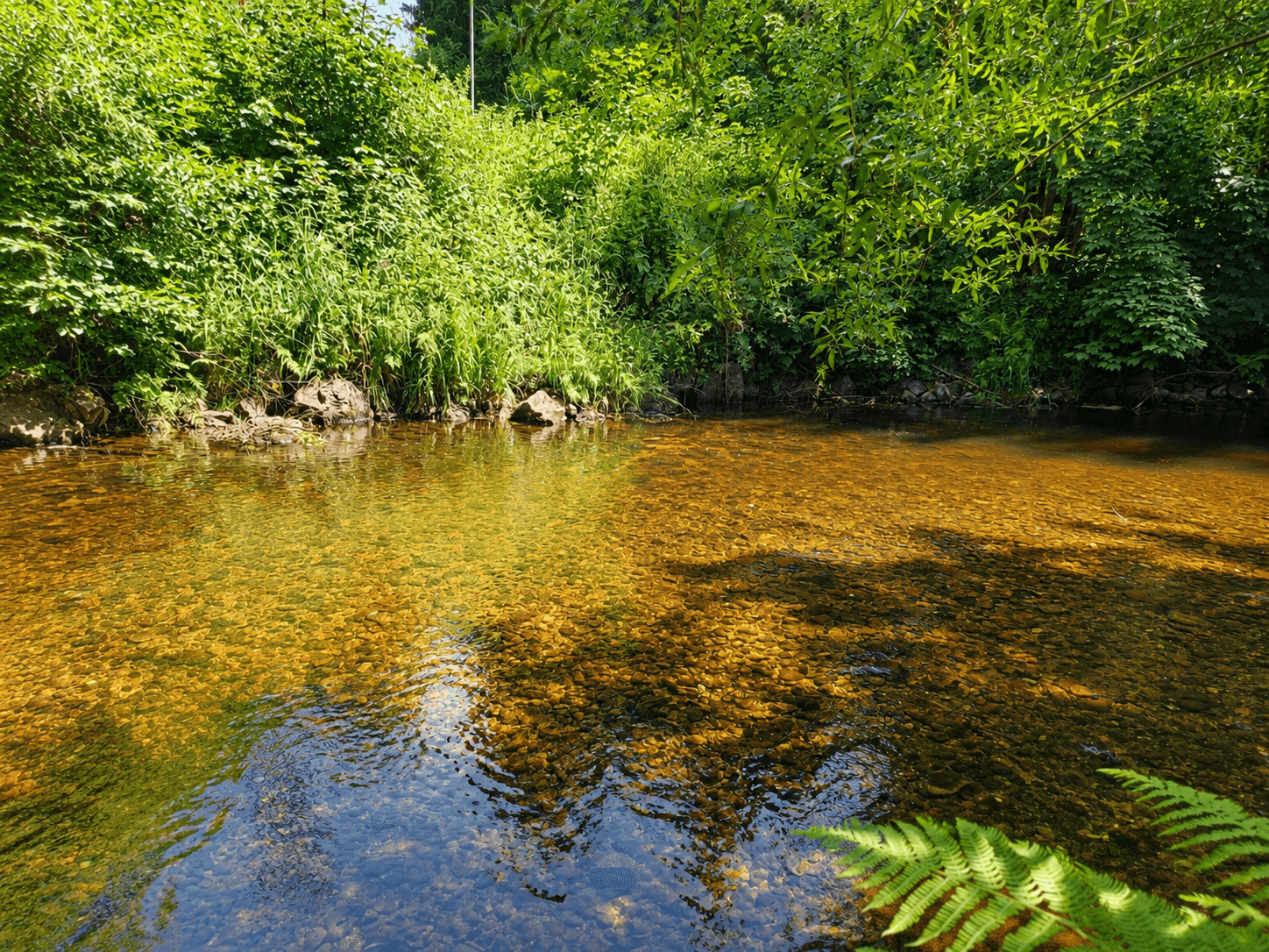 recreational property for sale, 275 m², Karlovy Vary, Karlovarský Region recreational property for sale, 275 m², Karlovy Vary, Karlovarský Region