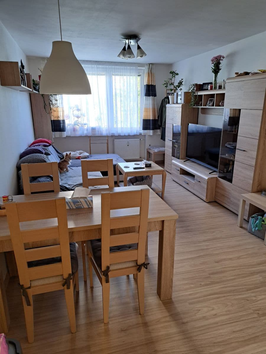 2 bedroom with open-plan kitchen flat for sale, 67 m², Hausmannova, Prague, Prague 2 bedroom with open-plan kitchen flat for sale, 67 m², Hausmannova, Prague, Prague